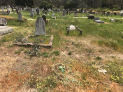 Grave of Susannah Dando nee Hapgood Castlemaine cemetery